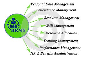 Human resource management system