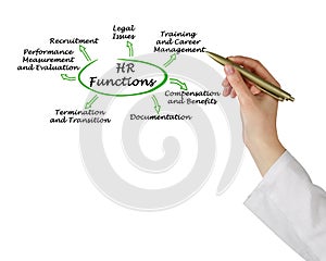 Functions of human resources