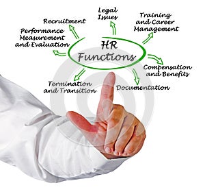 functions of human resources