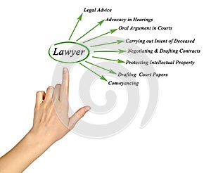 Functions of lawyer