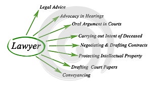 Functions of lawyer