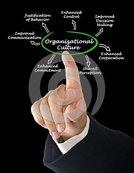 Functions of Organizational Culture