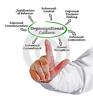 Functions of Organizational Culture