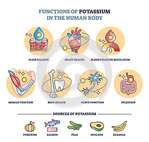 Functions of potassium in human body with sources in food outline diagram