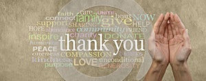 Fund Raising Campaign Website Header saying Thank You