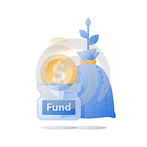 Fund raising, financial investment, revenue increase, income growth, budget plan, return on investment, long term strategy