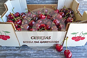 Box of famous cherries from Serra da Gardunha in Portugal