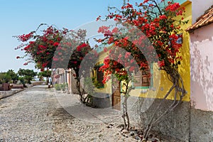 Fundo das Figueiras colorful cobblestone street , Boa Vista. Cape Verde.