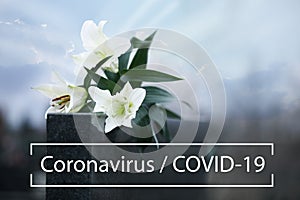 Funeral ceremony devoted to coronavirus victims. White lilies on tombstone