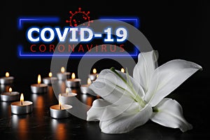 Funeral ceremony devoted to coronavirus victims. White lily and burning candles