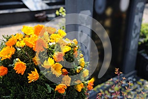 Funeral flowers for condolences photo