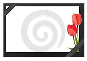 Funeral frame with tulips photo