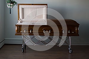 Funeral Home Mahogany Casket