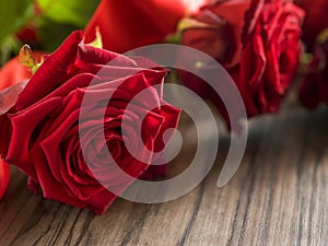 Funeral and mourning concept - red rose flower on wooden coffin