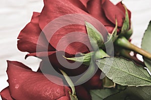 Funeral red roses bouquet arrangement for laying on a cemetery