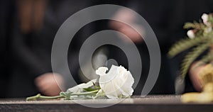 Funeral, rose and flower on coffin in cemetery for outdoor burial ceremony for mourning person in death, grief or