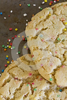 Funfetti Cookies From Above