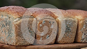 Fungal Spoilage of Bakery Products. Mould growth in bread