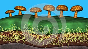 Fungal system growing beneath the earth , soil. Mycelium network  .3d rendering