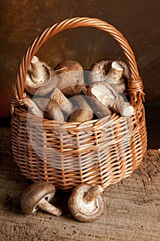 Fungi in a basket