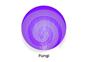 Fungi icon vector on white background