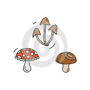 Fungi, mushroom vector illustration set