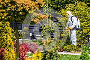 Fungicides of Backyard Garden Plants by Professional Garden Worker