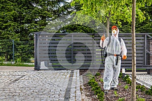 Fungicides Backyard Garden Trees by Professional Garden Worker