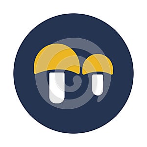 Fungus  Isolated Vector icon that can be easily modified or edited