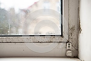 Fungus on the window and walls from excessive moisture in winter. The problem of ventilation, dampness, cold in the apartment