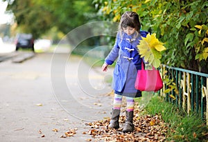 Entsetzt wenig im herbst 