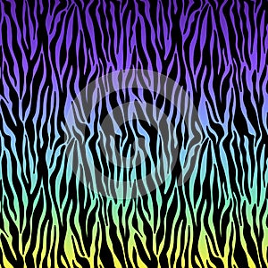 Funky Zebra Stripes Design