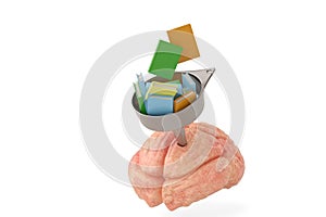 Funnel With Books adn the brain.3D illustration.