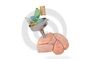 Funnel With Books adn the brain.3D illustration. photo