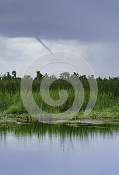 A funnel cloud or waterspout over the Louisiana marsh