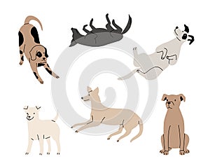 Funny active dogs in different positions. Playful pets, sitting, standing and lying puppies isolated set. Cartoon