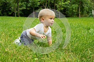 Funny adorable little caucasian blonde infant crawling in grass in summer park. Cute baby girl about 1 year old learning
