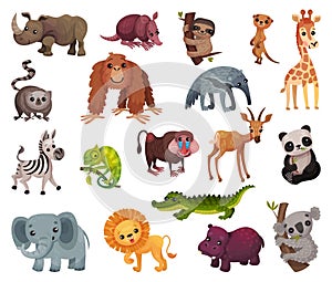 Funny African Animals as Zoo Fauna and Wildlife Vector Set