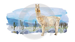 Funny Alpaca on watercolor backdrop with cactus desert, stones and mountains . Original abstract south american landscape,