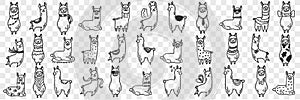 Funny alpacas animals doodle set