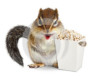 Funny animal chipmunk with blank popcorn bucket isolated on whit