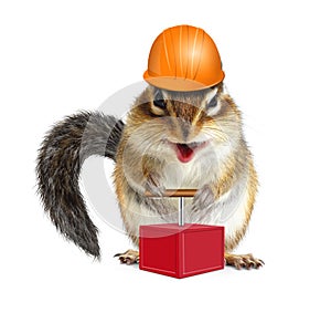 Funny animal chipmunk with detonator and hard hat, demolition co