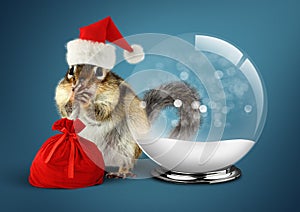 Funny animal chipmunk dressed as santa with snow ball and bag, c