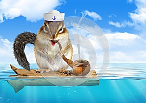 Funny animal chipmunk dressed sailor, floating ocean