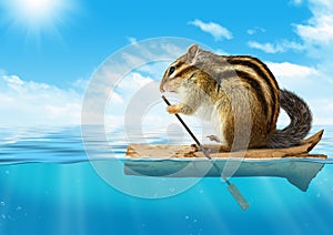 Funny animal, chipmunk floating at ocean, travel concept