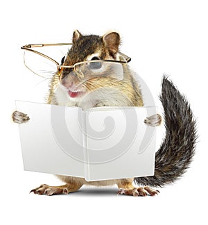 Funny animal chipmunk with glasses reading book photo