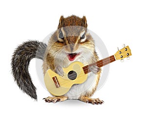 Funny animal chipmunk with guitar like a singer