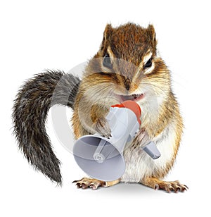 Funny animal chipmunk shouting into megaphone photo