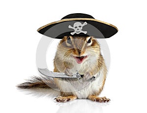 Funny animal pirate, squirrel with hat and sabre