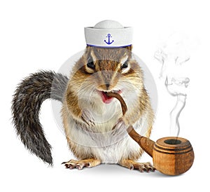 Funny animal sailor, squirrel with tobacco pipe and mariner hat